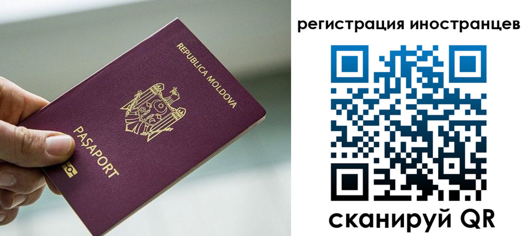 временная регистрация надежно в Воронеже
